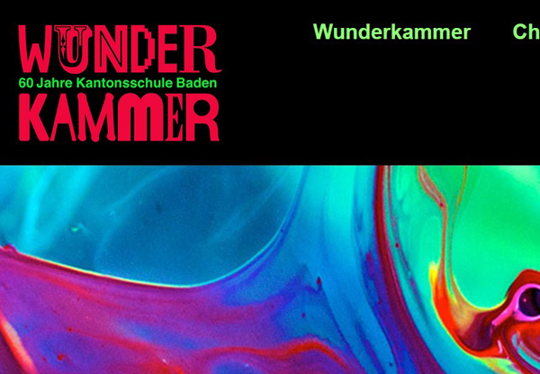 Webseite Wunderkammer